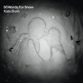50 Words for Snow (2018)